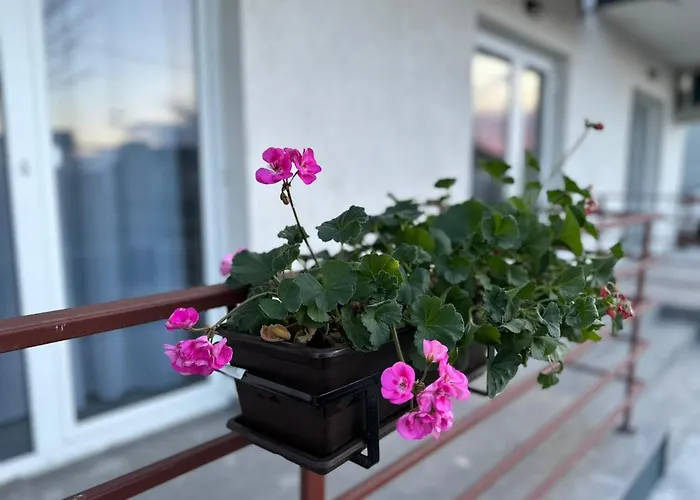 Casa Dramar Apartment Techirghiol