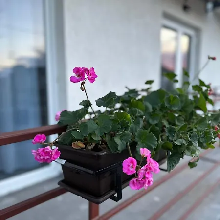 Casa Dramar Apartment Techirghiol